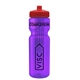 a transparent violet bottle & red lid & translucent frost infuser basket 28 oz infuser water bottle