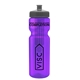a transparent violet bottle & gray lid & translucent frost infuser basket 28 oz infuser water bottle