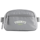 aerial view a gray recycled sport fanny pack, image 1 of 5