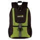 aerial view a lime green dual section backpack cooler, image 1 of 2