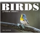 aerial view a group of birds of north america - spiral calendar, image 6 of 17