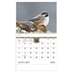 aerial view a group of birds of north america - spiral calendar, image 8 of 17