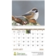 aerial view a group of birds of north america - spiral calendar, image 9 of 17
