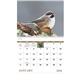 aerial view a group of birds of north america - spiral calendar, image 10 of 17