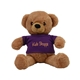 aerial view a brown cuddles plush toy with t - shirt or bandana, image 1 of 2