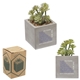 a gray pot w/green succulent & a style mini faux potted succulent