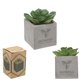 a gray pot w/green succulent & b style mini faux potted succulent