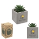 a gray pot w/green succulent & c style mini faux potted succulent