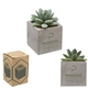 a gray pot w/green succulent & d style mini faux potted succulent