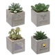 a group of mini faux potted succulent