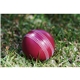 a group of cricket stress ball