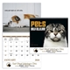 aerial view a group of pets with attitude - spiral - good value calendars(r), image 1 of 24