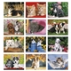 aerial view a group of four paws appointment calendar - spiral, image 7 of 24