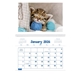 aerial view a group of puppies kittens pocket calendar, image 6 of 23