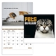 aerial view a group of pets with attitude - spiral - good value calendars(r), image 2 of 24