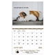 aerial view a group of pets with attitude - spiral - good value calendars(r), image 3 of 24