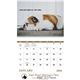 aerial view a group of pets with attitude - spiral - good value calendars(r), image 5 of 24