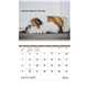 aerial view a group of pets with attitude - spiral - good value calendars(r), image 6 of 24