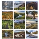 aerial view a group of contemplations appointment calendar - spiral, image 7 of 24
