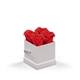 aerial view a white box & red rose classique by vef le petit, image 1 of 2
