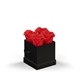 aerial view a black box & red rose classique by vef le petit, image 1 of 2