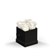 aerial view a black box & white rose classique by vef le petit, image 1 of 2