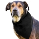 aerial view a black cotton big doggy pet bandana, image 1 of 2