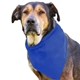 aerial view a royal blue cotton big doggy pet bandana, image 1 of 2