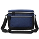 aerial view a navy (pms 281c) 12- can carter rpet lunch bag cooler, image 1 of 4