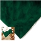 aerial view a hunter green micro mink sherpa blanket, image 1 of 2