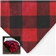 aerial view a red plaid micro mink sherpa blanket, image 1 of 2