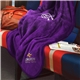 aerial view a purple micro - plush fleece blanket, image 1 of 2
