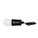 aerial view a black royale bright idea old fashioned bulb, image 1 of 2