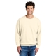 aerial view a ivory comfort colors(r) lightweight crewneck sweatshirt, image 1 of 5