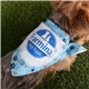 aerial view a group of sublimated rpet bandana, image 2 of 4