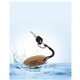 a group of buoy oval cork keychain