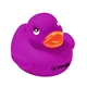 a purple colorful duck