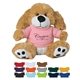 6 big paw dog with box
