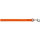 6 Ft Nylon Leash