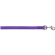 6 Ft Nylon Leash