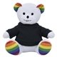 6 Rainbow Bear - SHIRT