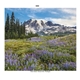 aerial view a group of hotline(r) products scenic america(r) pocket calendar, image 16 of 23