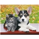 aerial view a group of four paws appointment calendar - spiral, image 24 of 24
