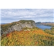 aerial view a group of scenic america(r) executive calendar, image 16 of 17