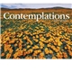 aerial view a group of contemplations appointment calendar - spiral, image 11 of 24