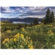 aerial view a group of contemplations appointment calendar - spiral, image 15 of 24