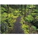 aerial view a group of contemplations appointment calendar - spiral, image 18 of 24