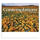 aerial view a group of contemplations appointment calendar - spiral, image 9 of 24