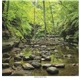 aerial view a group of scenic america(r) executive calendar, image 13 of 20