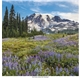 aerial view a group of scenic america(r) executive calendar, image 10 of 20